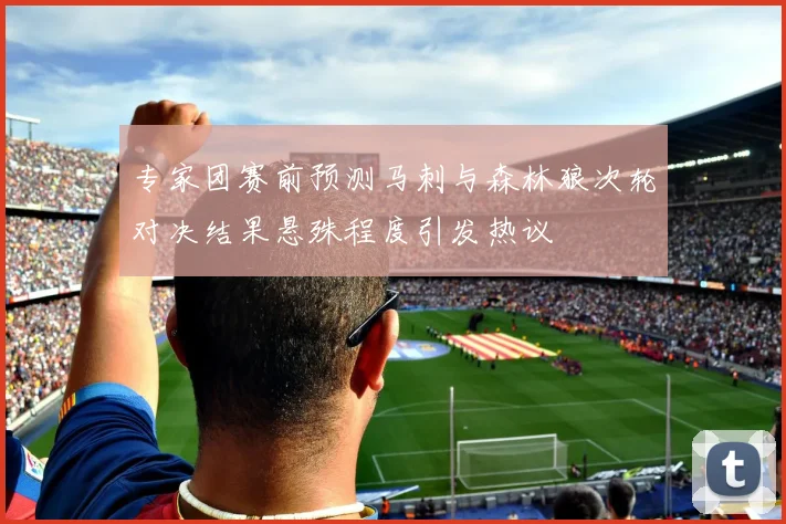 专家团赛前预测马刺与森林狼次轮对决结果悬殊程度引发热议